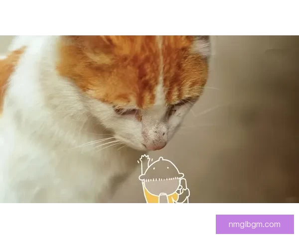 猫咪社区app官方在线网页，开启喵星人世界的奇妙之旅！ 